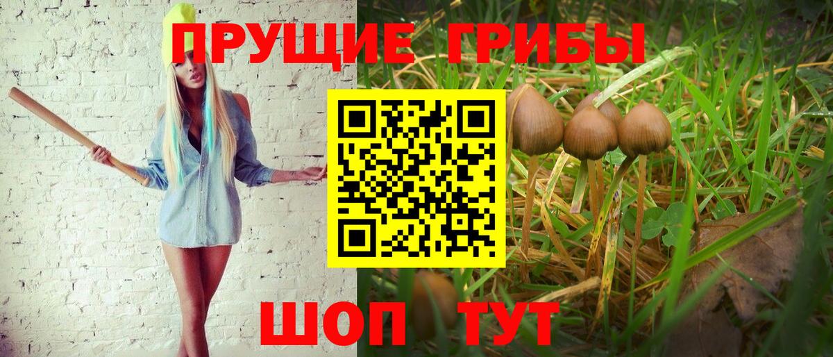 Галлюциногенные грибы Magic Shrooms Ирбит